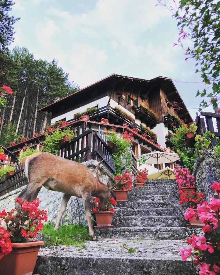 Hotel Garni Mille Pini Scanno Extérieur photo